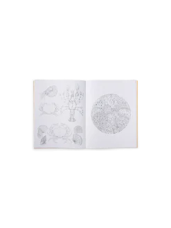 Sale Søstrene Grene Schweiz Beautiful Planet Malbuch Yellow