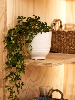 Best Søstrene Grene Schweiz Blumentopf Off White