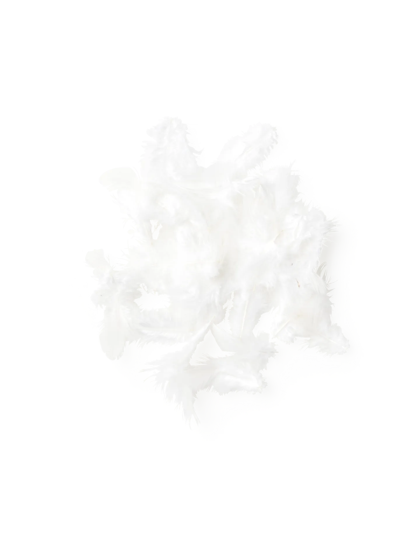 Clearance Søstrene Grene Schweiz Federn