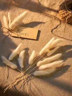 Clearance Søstrene Grene Schweiz Hasenschwänzchen Zum Basteln Off White