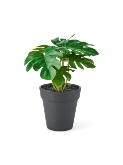 Clearance Søstrene Grene Schweiz Künstliche Blume Im Topf Dark Green