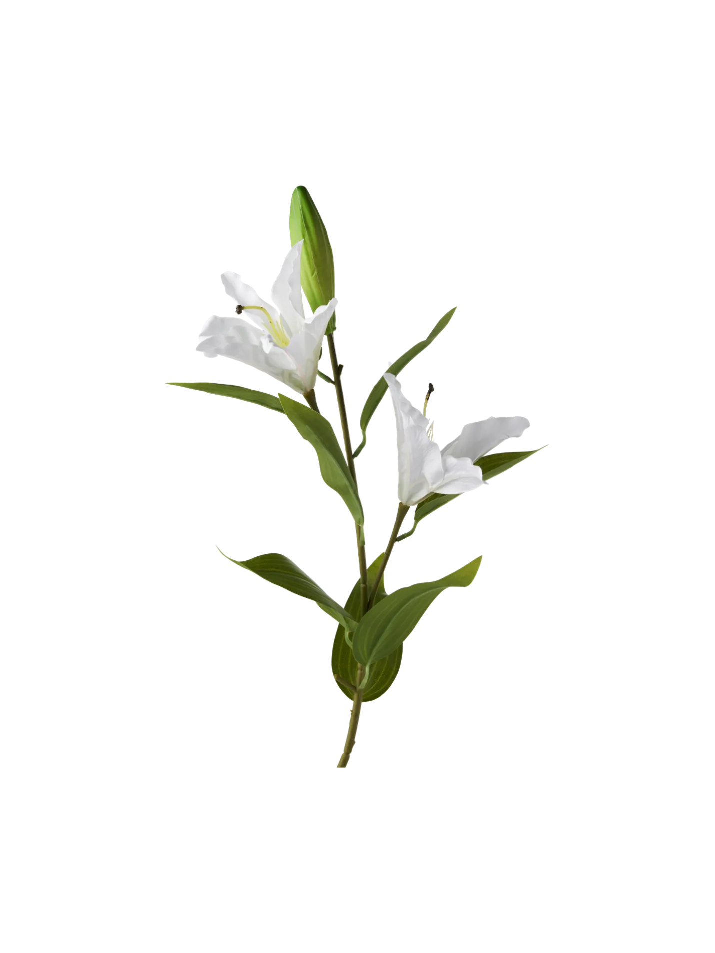 Clearance Søstrene Grene Schweiz Künstliche Lilie White
