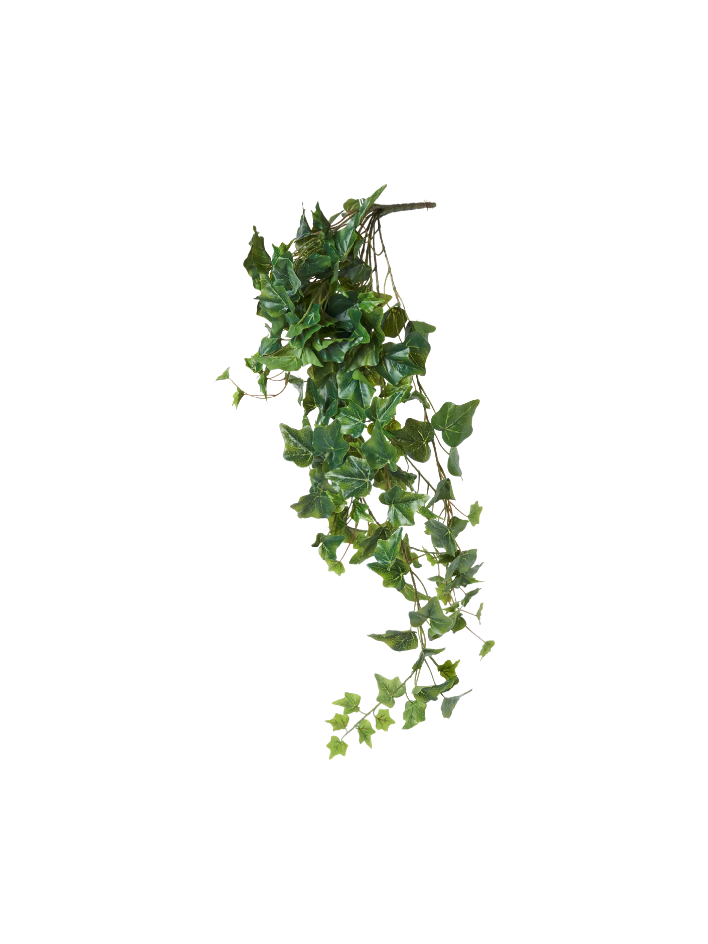 Sale Søstrene Grene Schweiz Künstlicher Efeu Moss Green