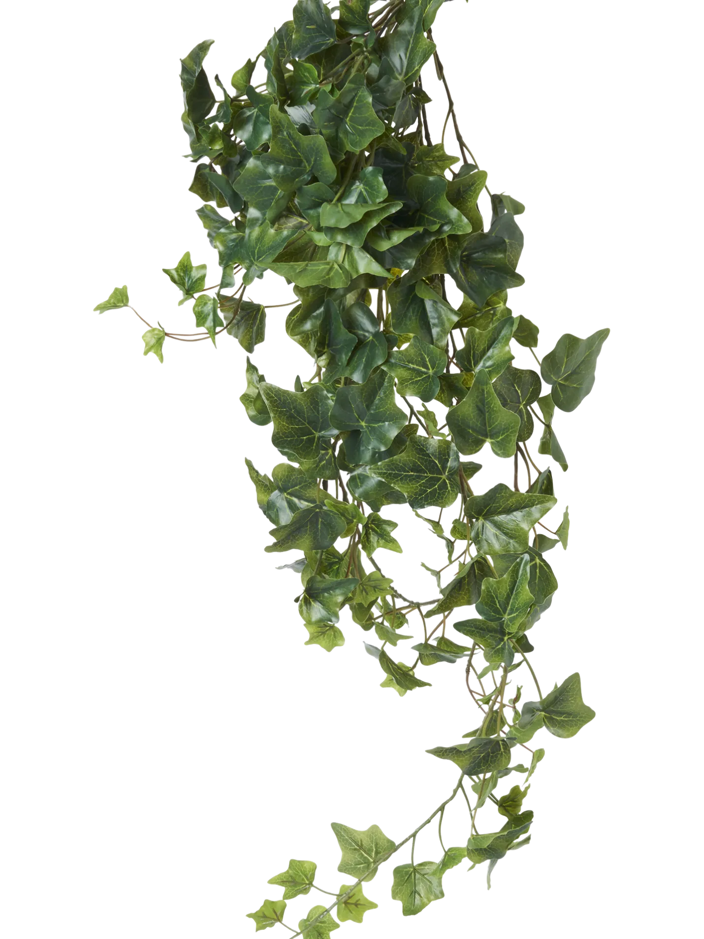 Sale Søstrene Grene Schweiz Künstlicher Efeu Moss Green