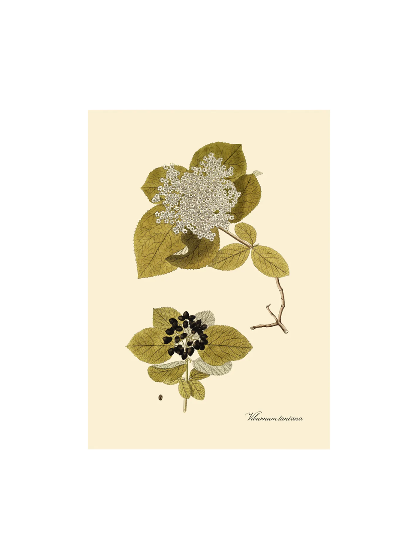 New Søstrene Grene Schweiz Poster A3 Multi