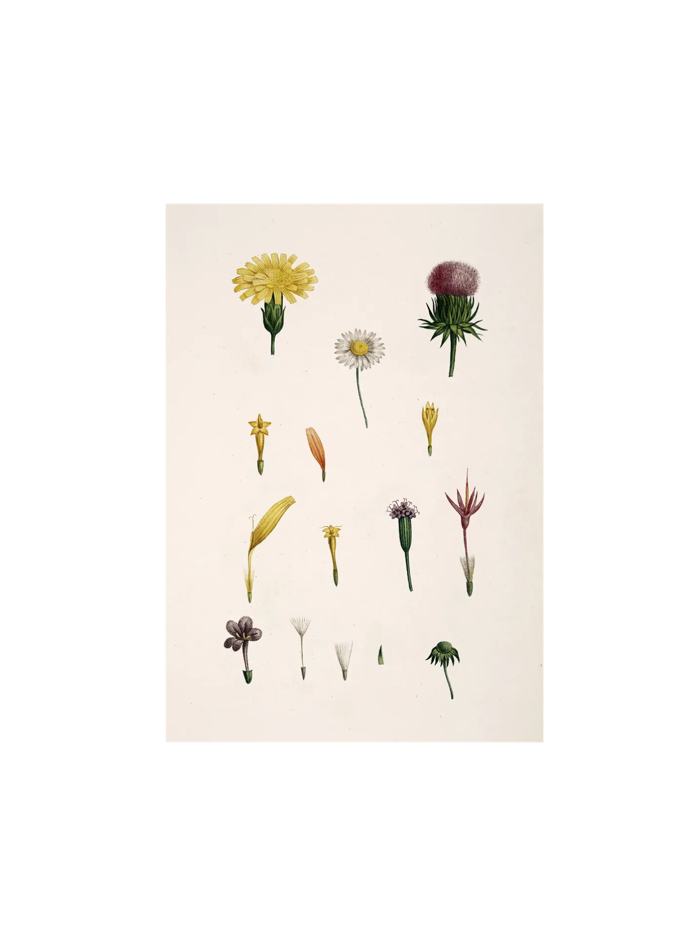 Sale Søstrene Grene Schweiz Poster A3 Multi
