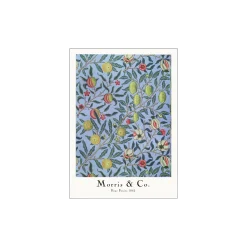 New Søstrene Grene Schweiz Poster Four Fruits 50 X 70 Misty Blue