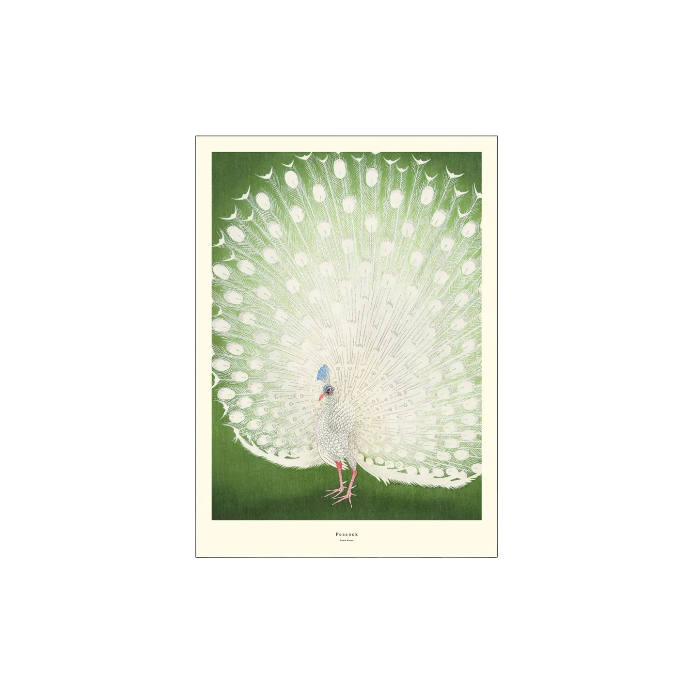 Clearance Søstrene Grene Schweiz Poster Peacock A3 Fern Green
