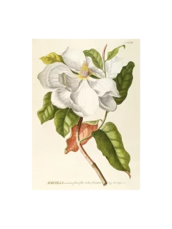 Best Søstrene Grene Schweiz Poster 50 X 70 Multi