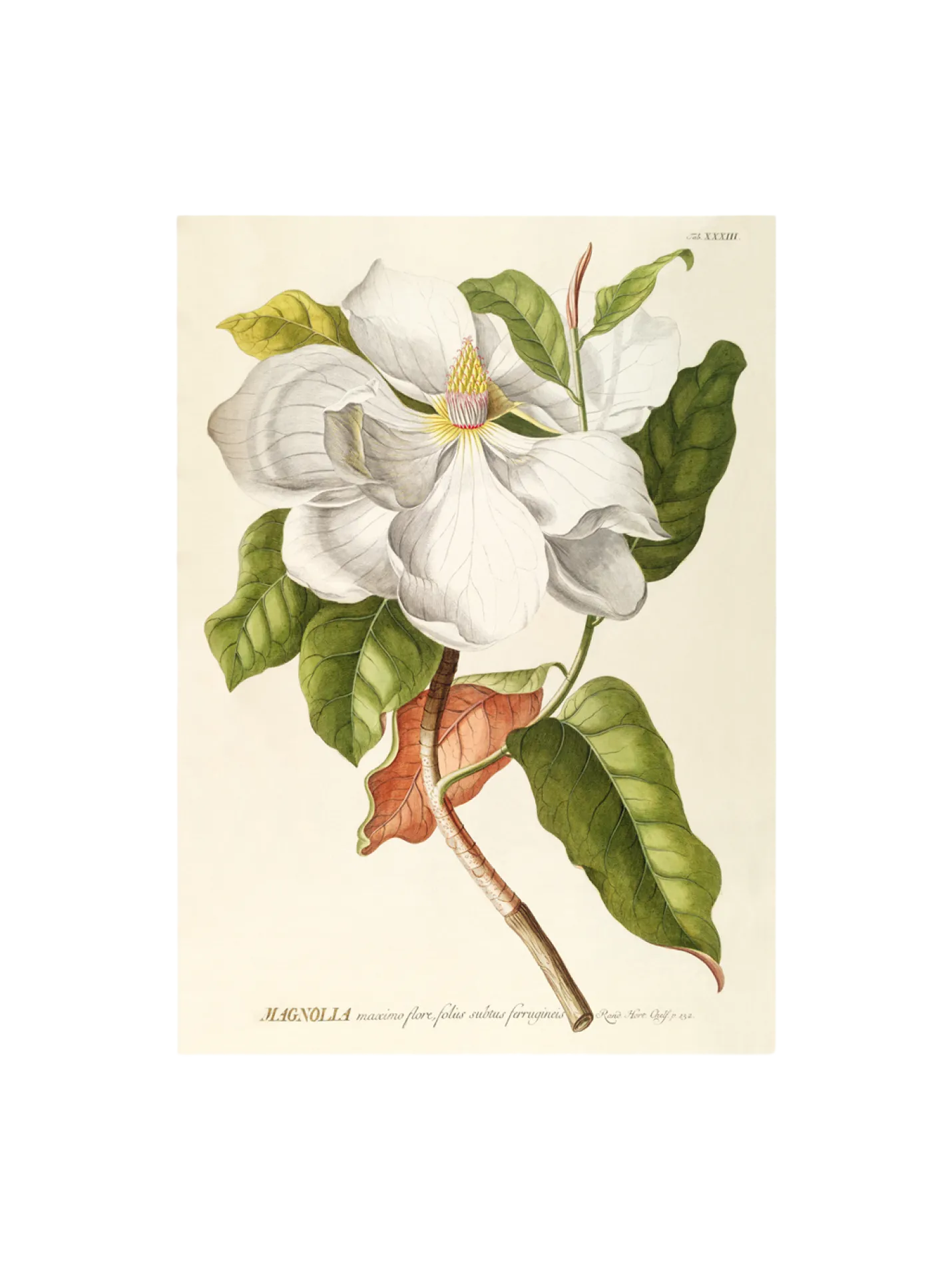 Best Søstrene Grene Schweiz Poster 50 X 70 Multi