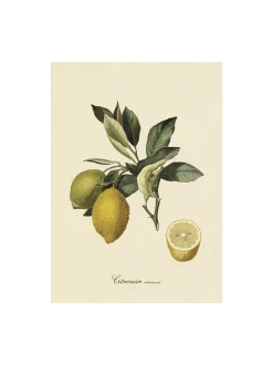 Discount Søstrene Grene Schweiz Poster 50 X 70 Multi