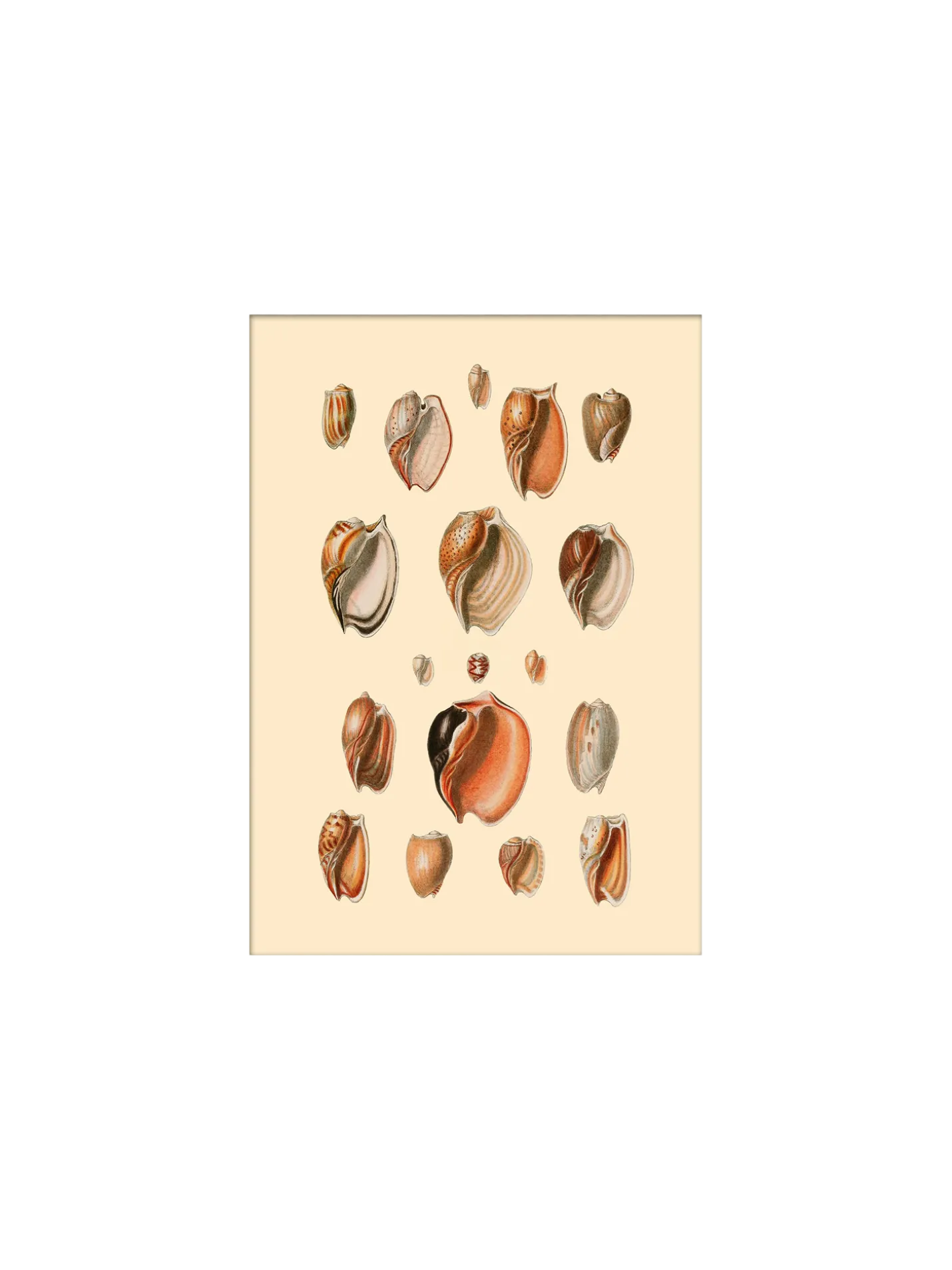 Outlet Søstrene Grene Schweiz Poster 15 X 21 Multi