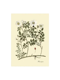 Sale Søstrene Grene Schweiz Poster 50 X 70 Multi