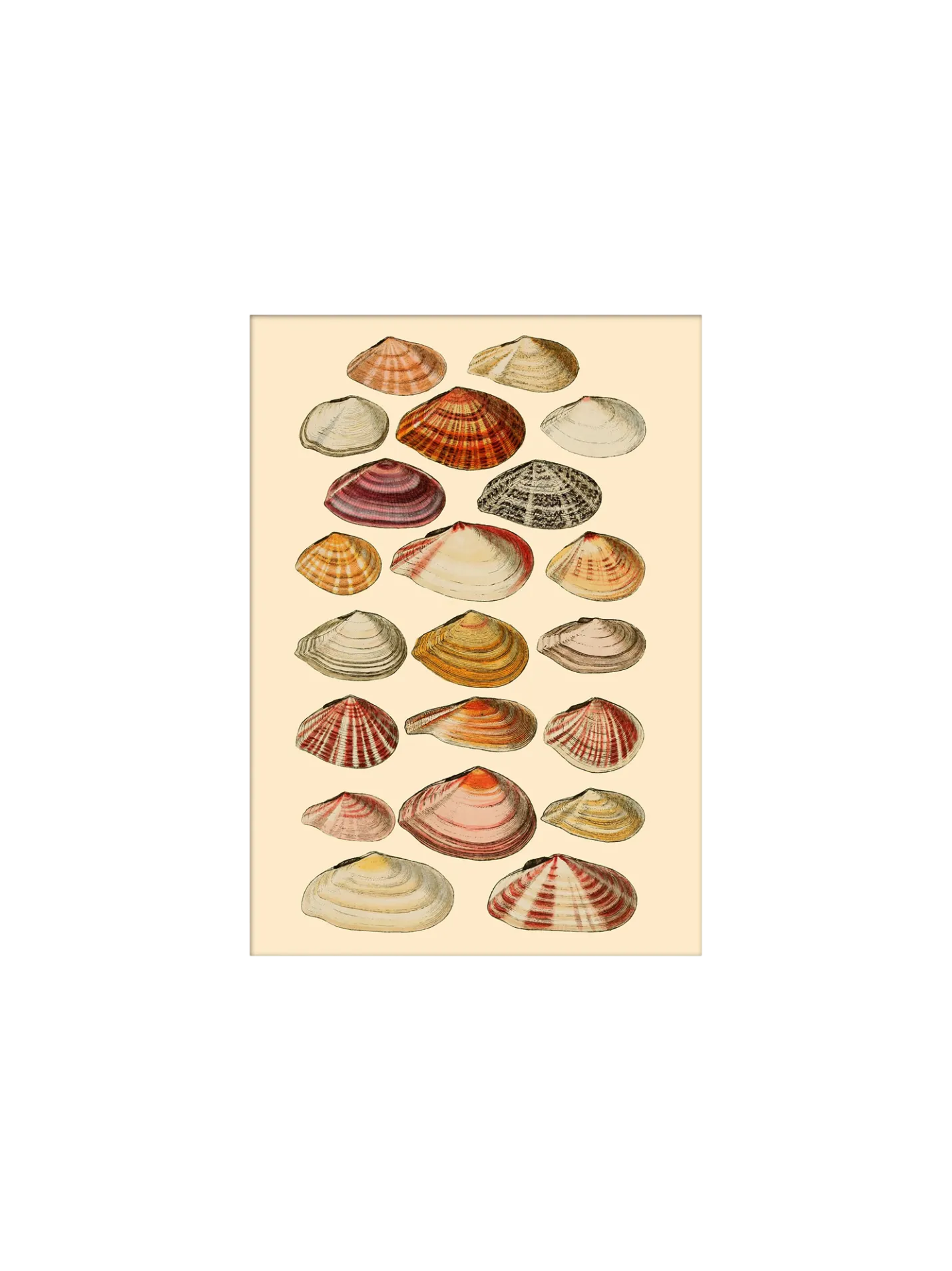 Hot Søstrene Grene Schweiz Poster 15 X 21 Multi
