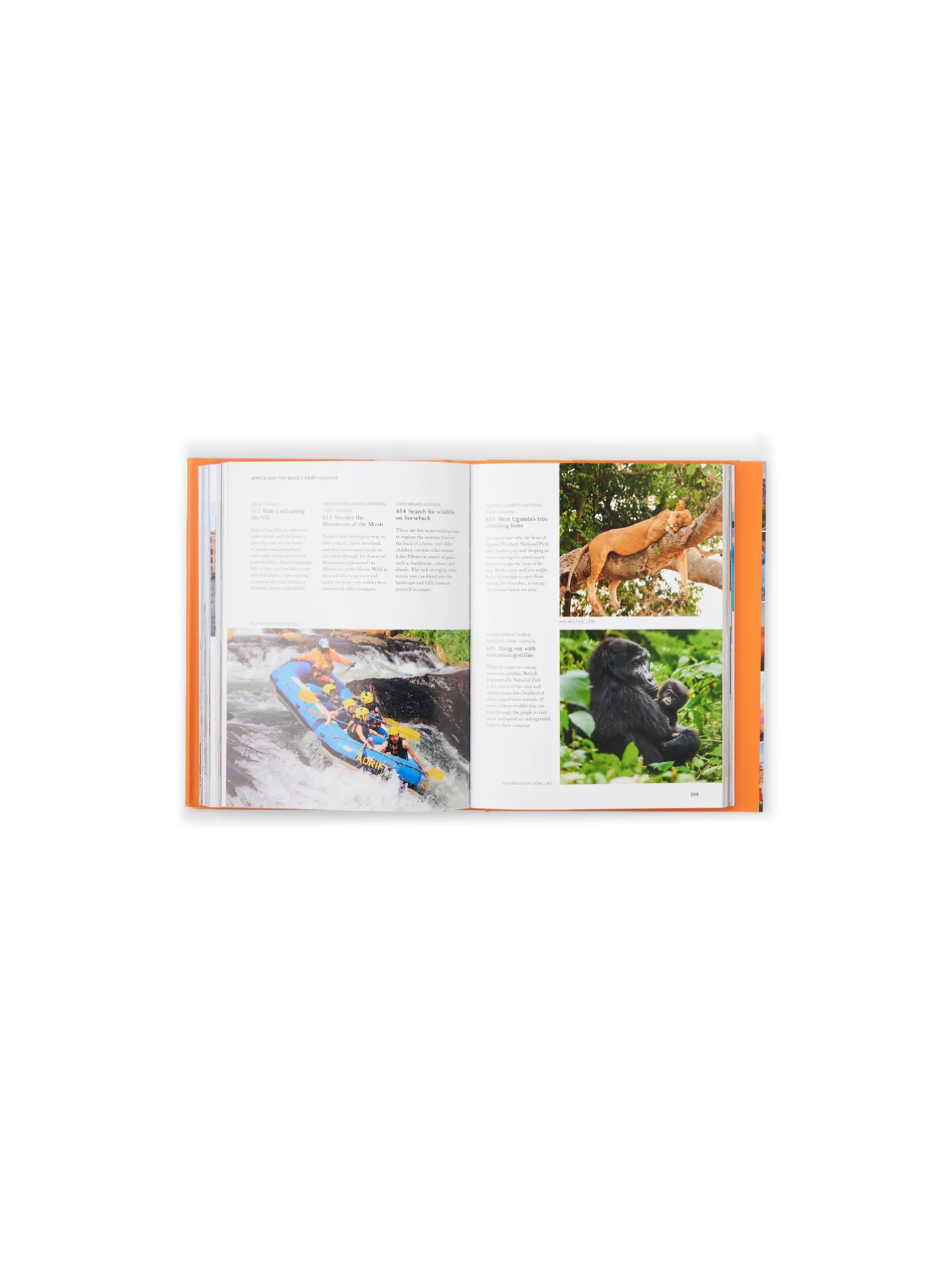 Best Søstrene Grene Schweiz The Family Bucket List Multi
