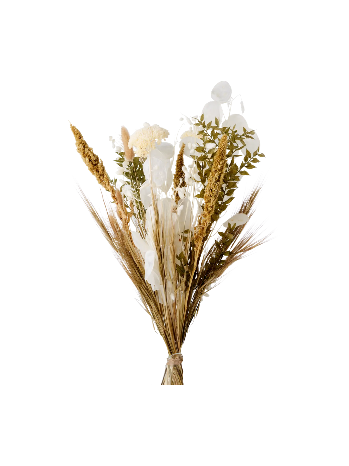 Søstrene Grene Schweiz Trockenblumen Lunaria Klein Multi