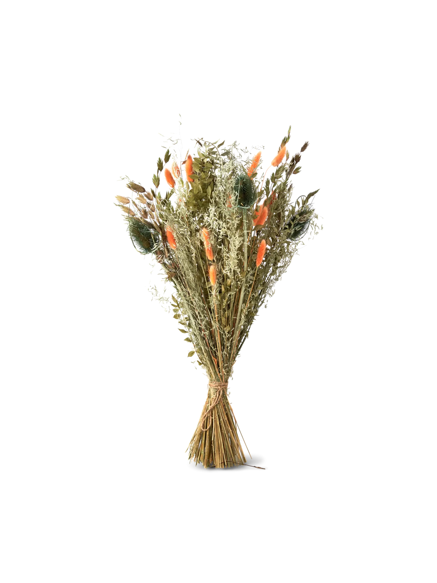 New Søstrene Grene Schweiz Trockenblumen Orange Medium Burned Orange
