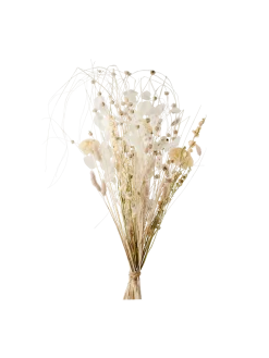 Best Søstrene Grene Schweiz Trockenblumen Patricia Medium Multi