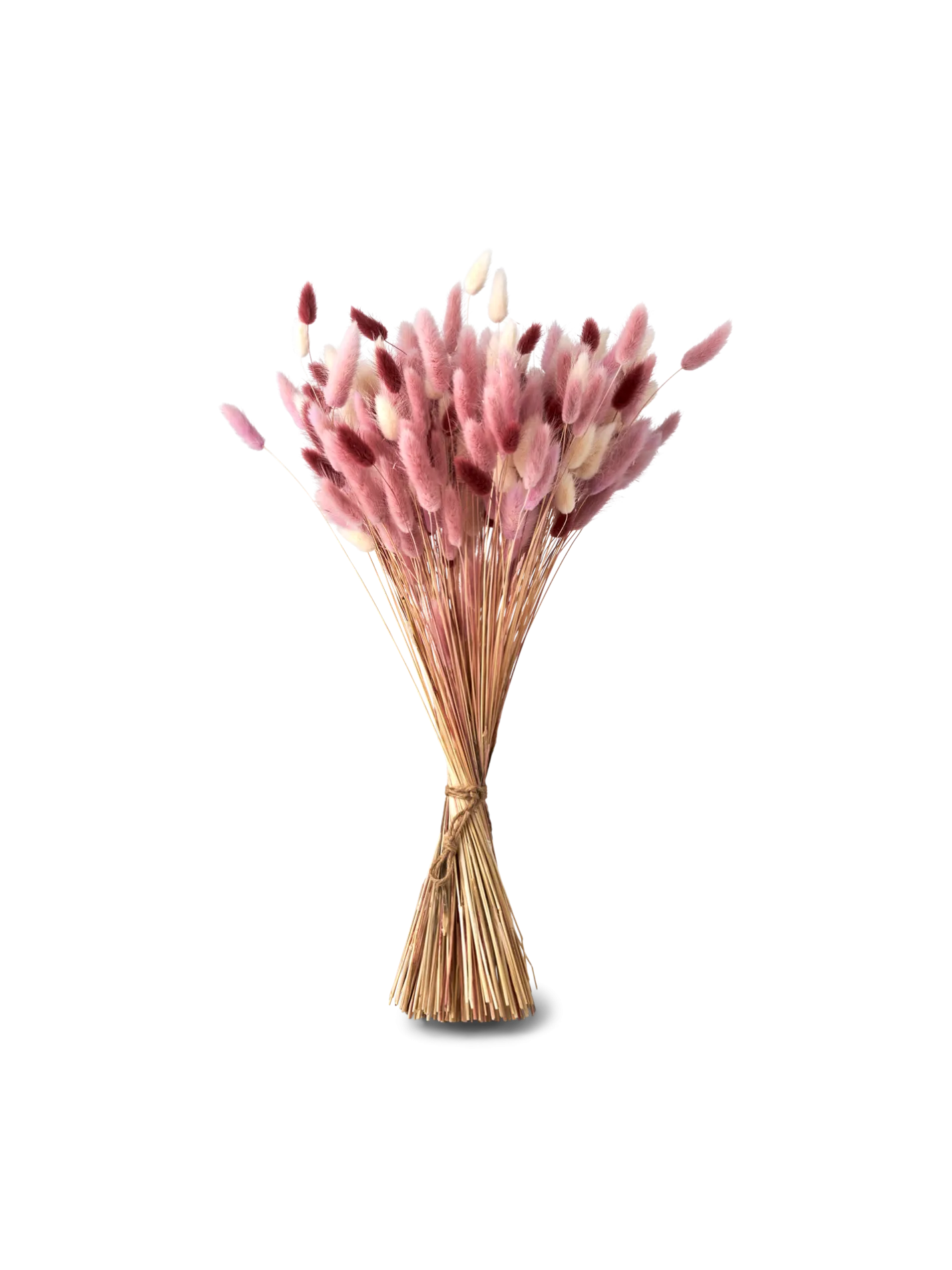 Søstrene Grene Schweiz Trockenblumen Pudder Medium Cherry Red