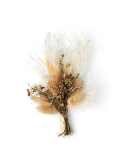 Sale Søstrene Grene Schweiz Trockenblumen Zum Basteln Off White